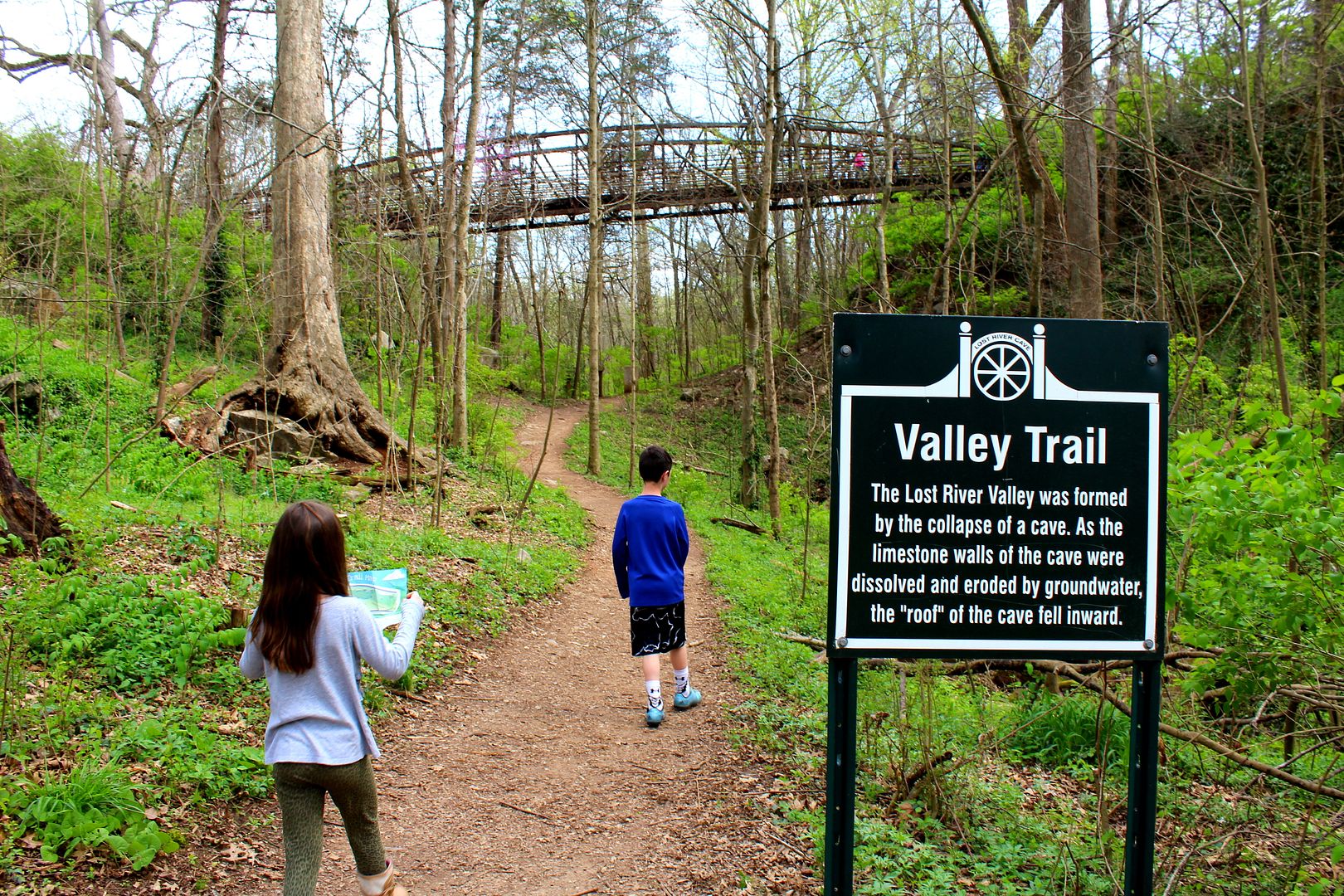 12 Things to Know when Visiting Lost River Cave